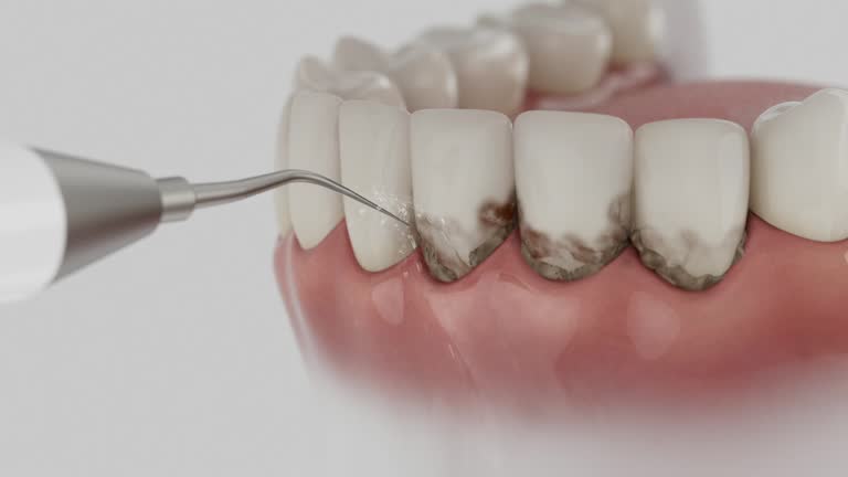 Reliable Dental contractor in Edina, MO by Dentist Open Now